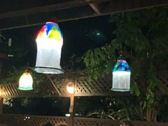 -卷心菜和避孕套餐厅(Pattaya)