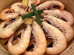 白灼毛虾-玖味(老工人西路店)