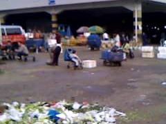 -布吉农产品批发市场