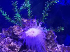 -沙沙哗啦海洋馆(华宇百花谷店)