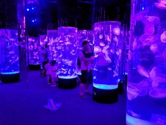 -成都浩海立方海洋公园