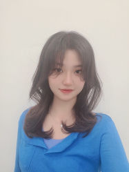 -YESIDO椰岛造型