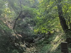 -皇藏峪国家森林公园