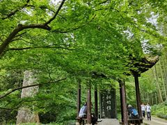 -西湖风景区十里琅珰-五云山