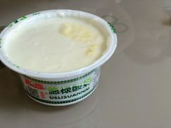 德禄酸奶-德禄酸奶(莫家街店)