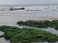 -日照海滨国家森林公园