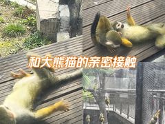 -武汉动物园