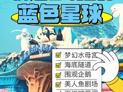 -石家庄极地海洋世界