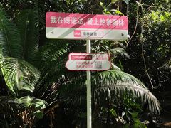-呀诺达热带雨林