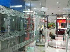 android_upload_pic-芭比堂动物医院(广州爱宠下渡路分院)