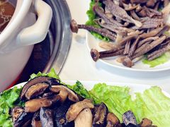 -爱膳菌锅锅(阳南店)