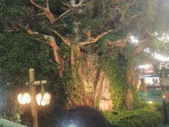-苏州湾梦幻水世界