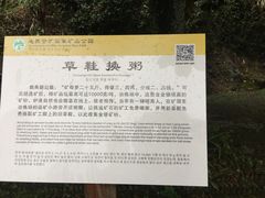 -遂昌金矿国家矿山公园