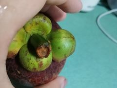 -大润发(明珠店)