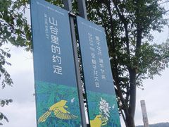 -南京老山国家森林公园