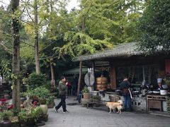 -青城甲(青城山店)