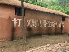 -滕州微山湖红荷湿地景区
