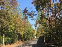 -上海海湾国家森林公园