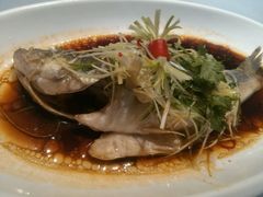 -稍可轩博物馆餐厅