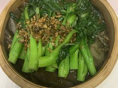 -东方御宴海鲜酒楼(棕泉酒店)