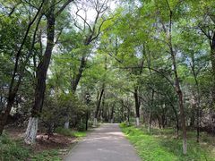 -高尔山公园