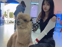 -Blue Concept Cafe&Farm·關於藍
