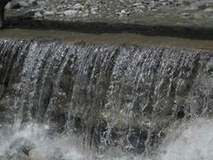 -陕西省红河谷森林公园