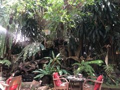 -Fern Forest Cafe