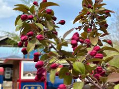 -永定河休闲森林公园