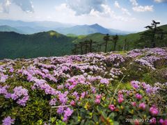 -秦岭风景区