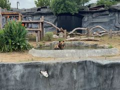 -武汉动物园