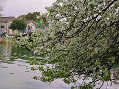 -东钱湖小普陀景区