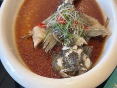 -高老庄新家宴(北斗星广场店)