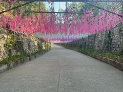 -北京十三陵国家森林公园蟒山景区