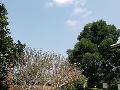 -侯臣咖啡文化村