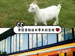 -前小桔亲子创意农场·草莓采摘·露营烧烤