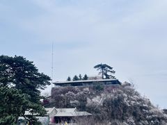 -妙峰山风景名胜区