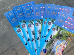 -西双版纳原始森林公园