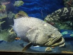 -泉州海丝野生动物世界