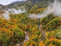 -光雾山旅游景区