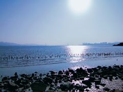 -深圳湾公园(南山区)
