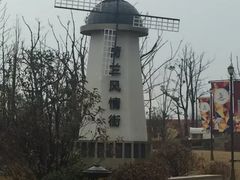 -荷兰花海