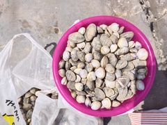 -东疆理想海岸沙滩景区