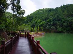 -广州白江湖森林公园