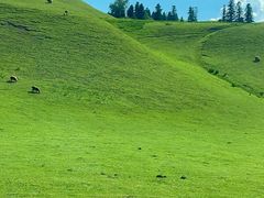 -新疆那拉提国家旅游度假区