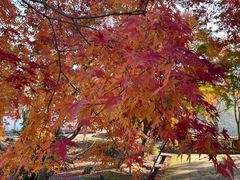 -醍醐寺