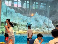 -帝企鹅自助餐厅•儿童岛•真企鹅(长隆企鹅酒店)