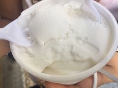 -洪馨椰子