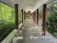 -深圳仙湖植物园