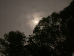 -火炉山森林公园